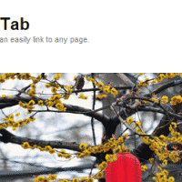 Simple Side Tab WordPress Plugin